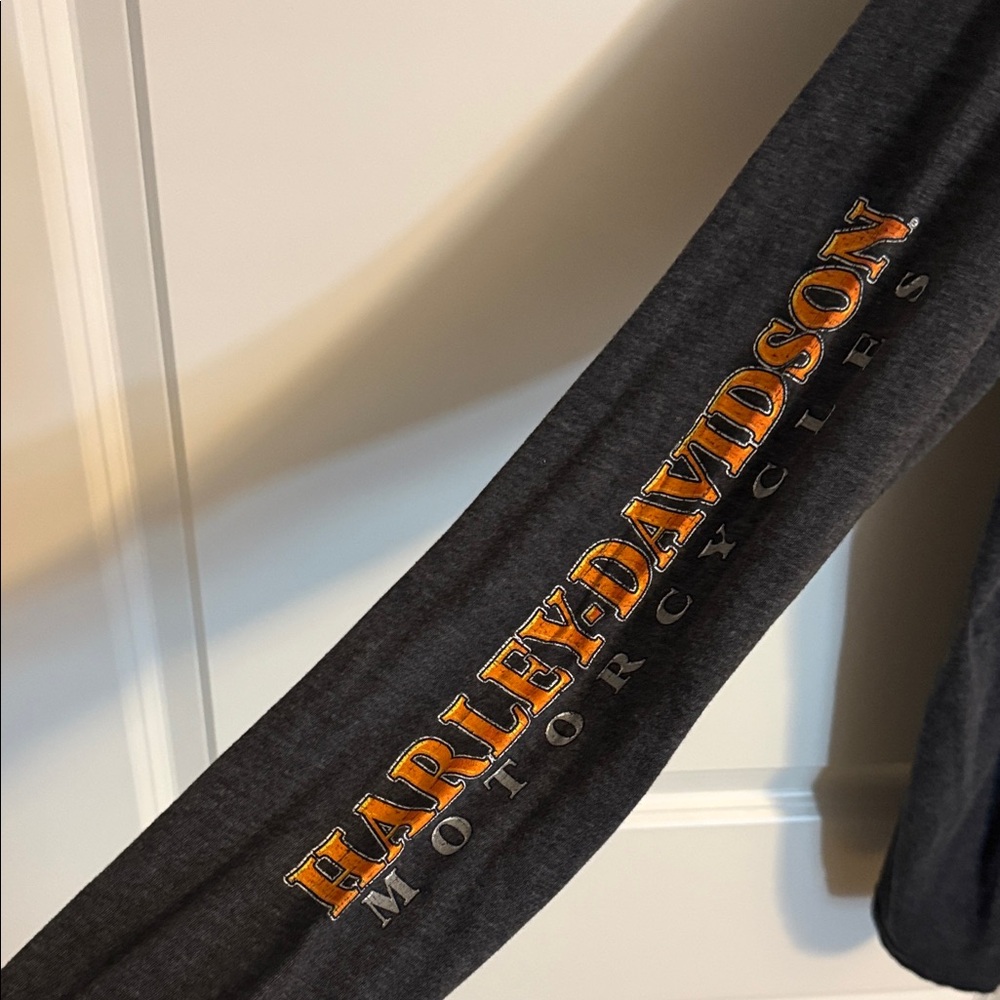 Harley-Davidson Charcoal Long Sleeve Tee - Picture 4 of 5